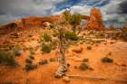 Turret Arch, Arches National Park, Utah, USA. Art Print